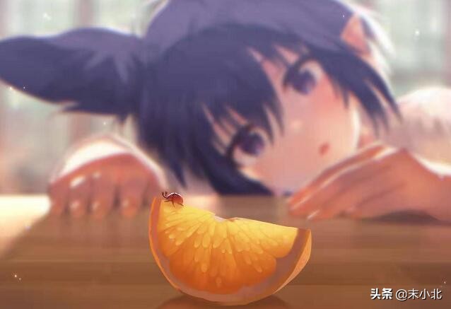 如何面对婚姻的插足者,如何对待第三者插足