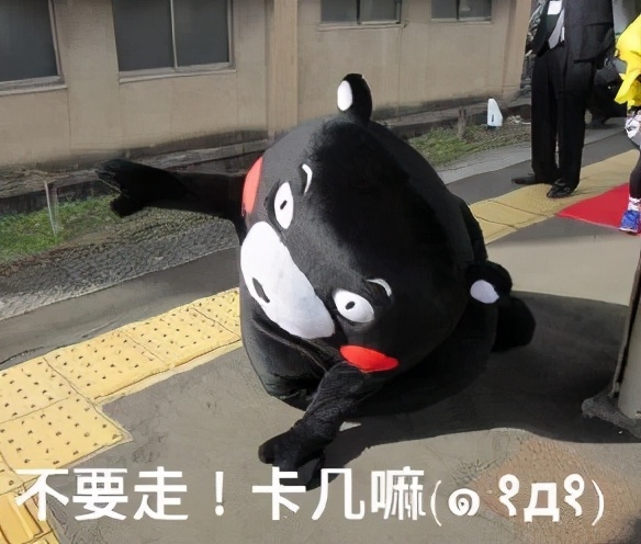 留学生回国海关行李怎么办,留学生行李被海关扣了怎么办