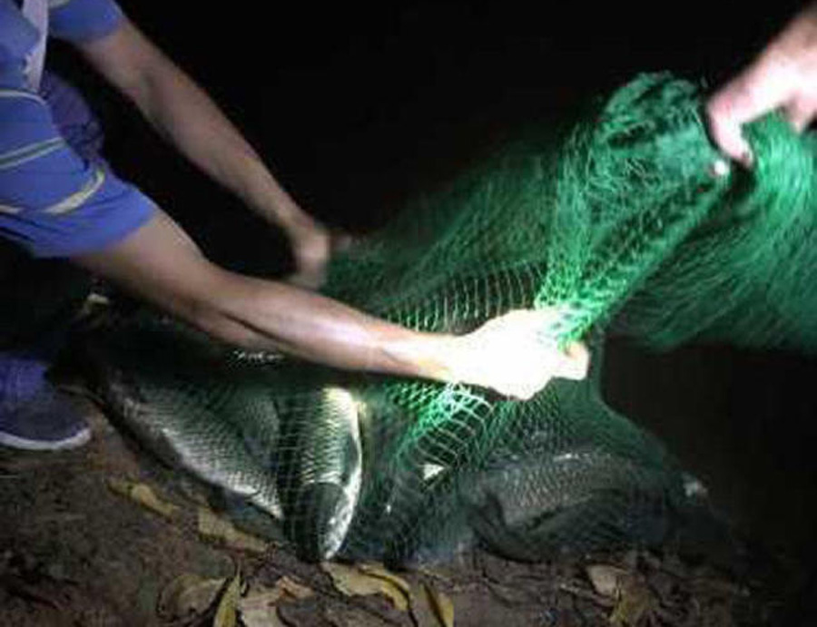 钓鱼夜钓需要什么技巧,夜钓小技巧和注意事项