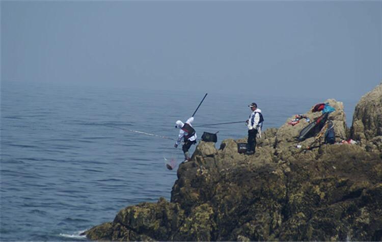 最有效提高中鱼率的钓组,上鱼最容易的抛竿钓组