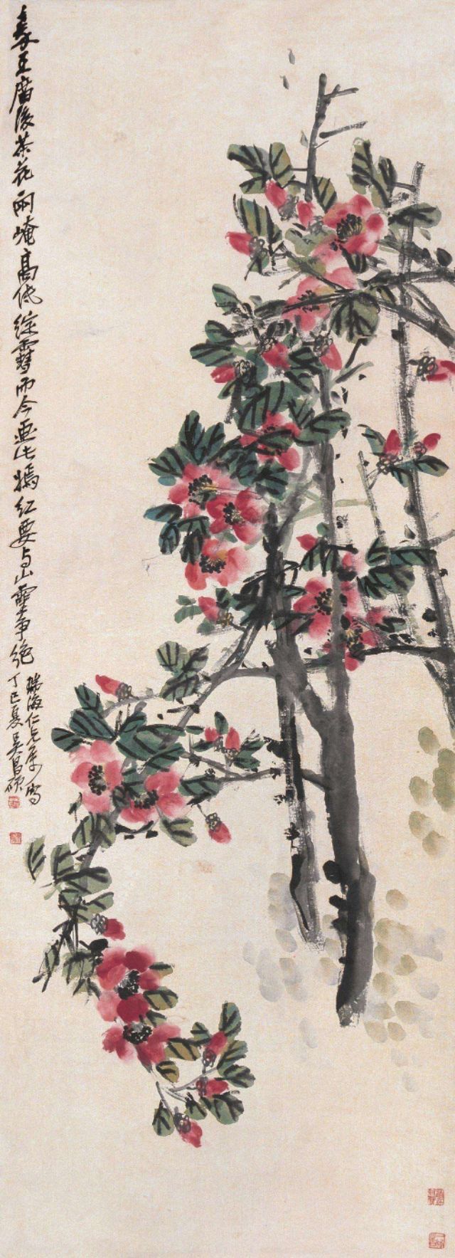 名家山茶花写意画,名家写意茶花