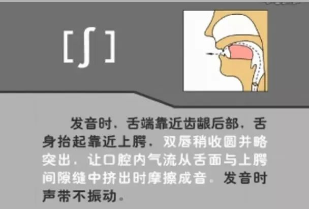 英语音标发音表48个音标正确读法,英语干货48个音标快速记忆法下