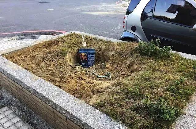 鱼池如何改造成花池,花池改鱼池如何做过滤