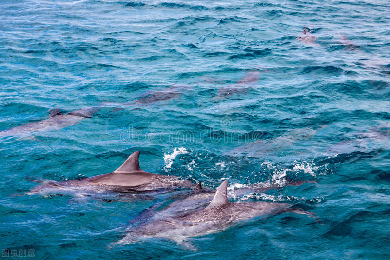 你会感兴趣的冷知识,你感兴趣的航天知识都有哪些