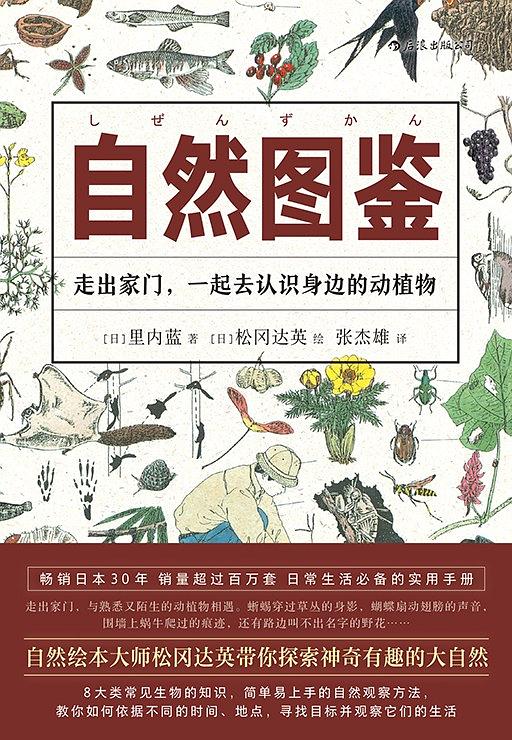 蜘蛛为什么不是昆虫,蜘蛛是不是昆虫为什么是昆虫