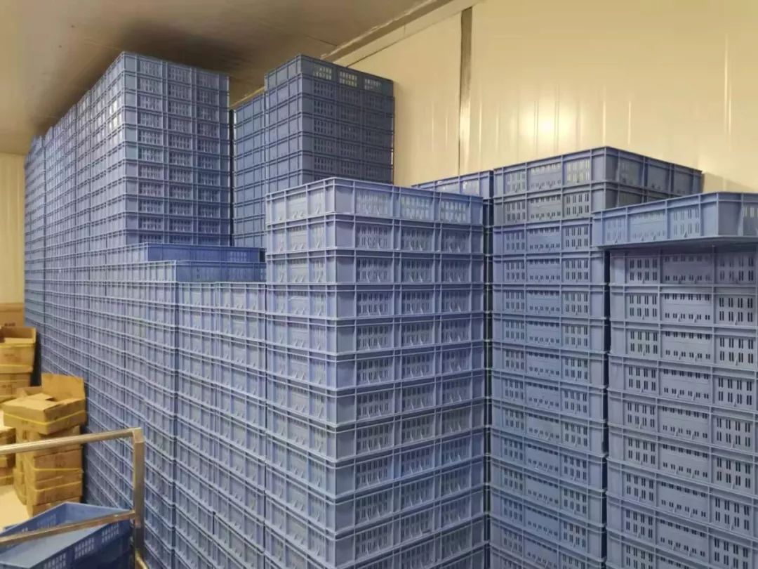 单店百万门店,单店营业额过亿