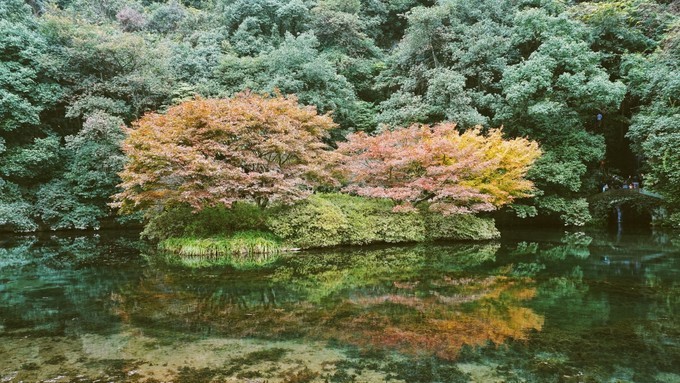 杭州西湖乌镇苏州南京上海攻略,天青色等烟雨乌镇旅游