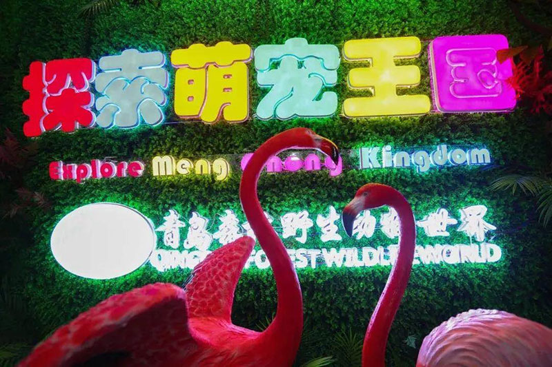 一文在手逛节不愁,活力啤酒节最强攻略来袭