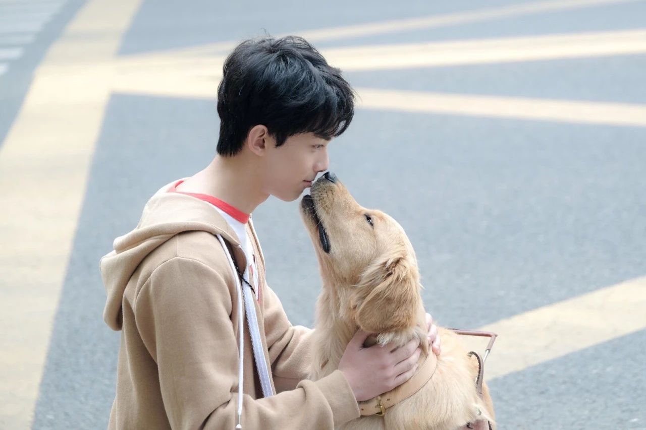 中戏北电历届第一,中戏北电表演第一