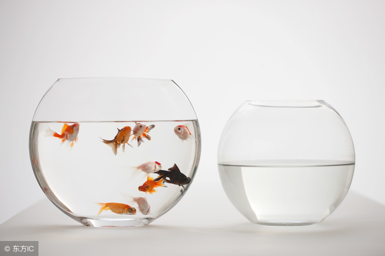 鱼缸应该摆放在家里哪个位置最好,鱼缸最好摆放在家的什么位置