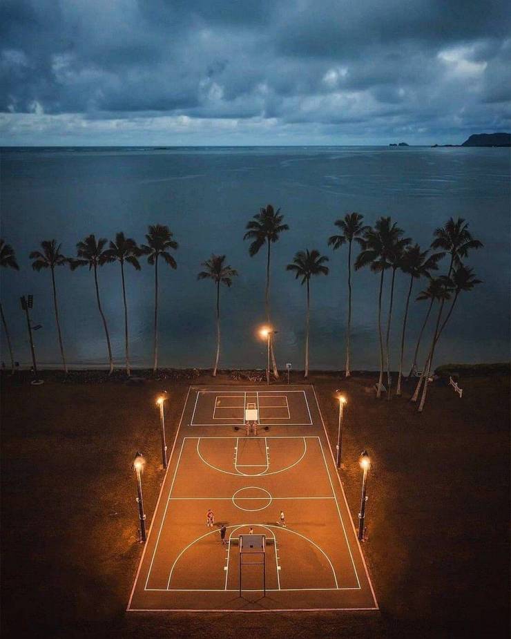 50张照片每一张都让人赞叹不已,50张让人叹为观止的照片