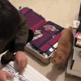 万里挑一加盟,万里挑一高手在哪里