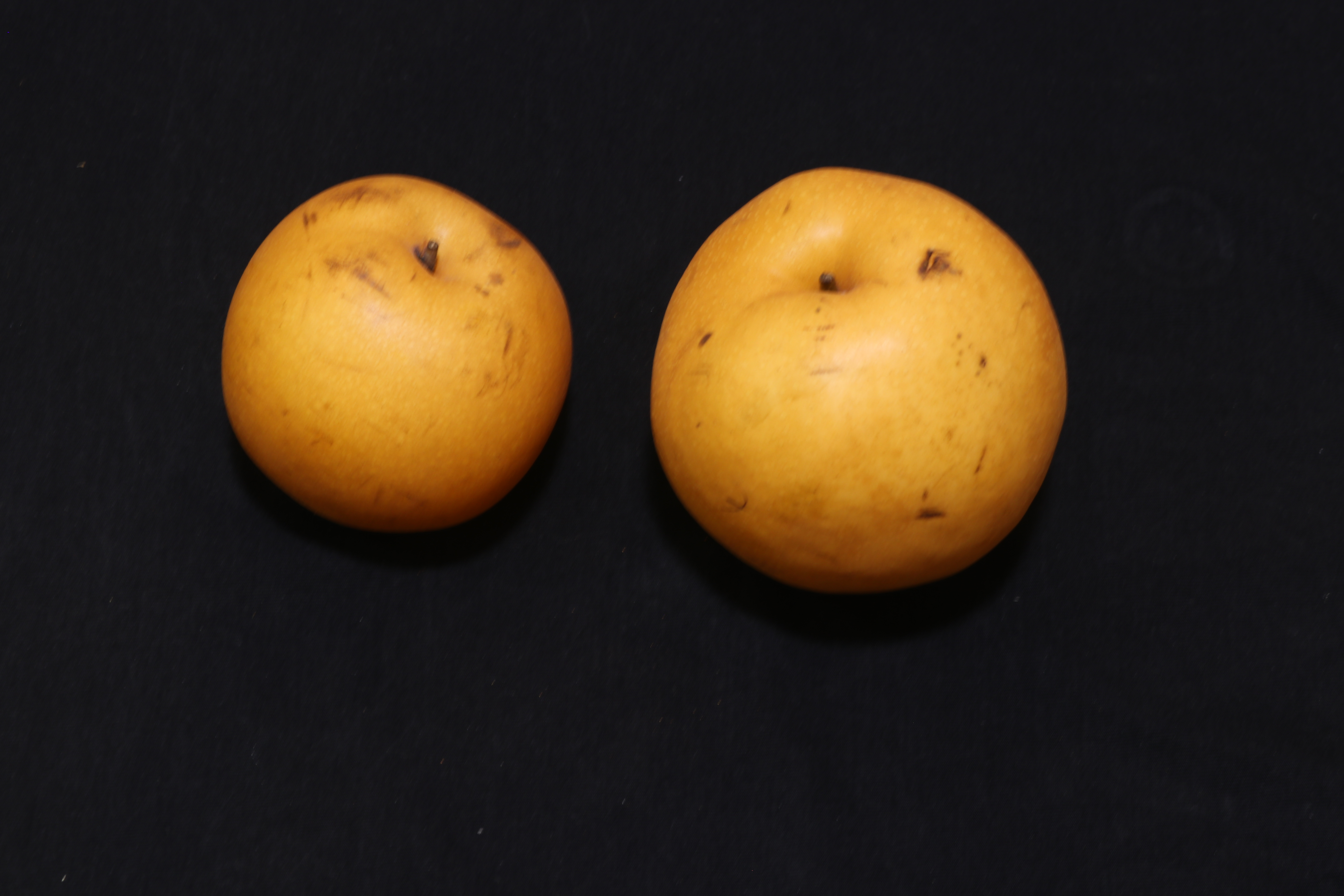 原产我国的古老水果“梨中元老”鸭梨，为什么没有日本梨受欢迎？