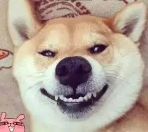 燃烧你的卡路里陈若昕,燃烧你的卡路里健身博主