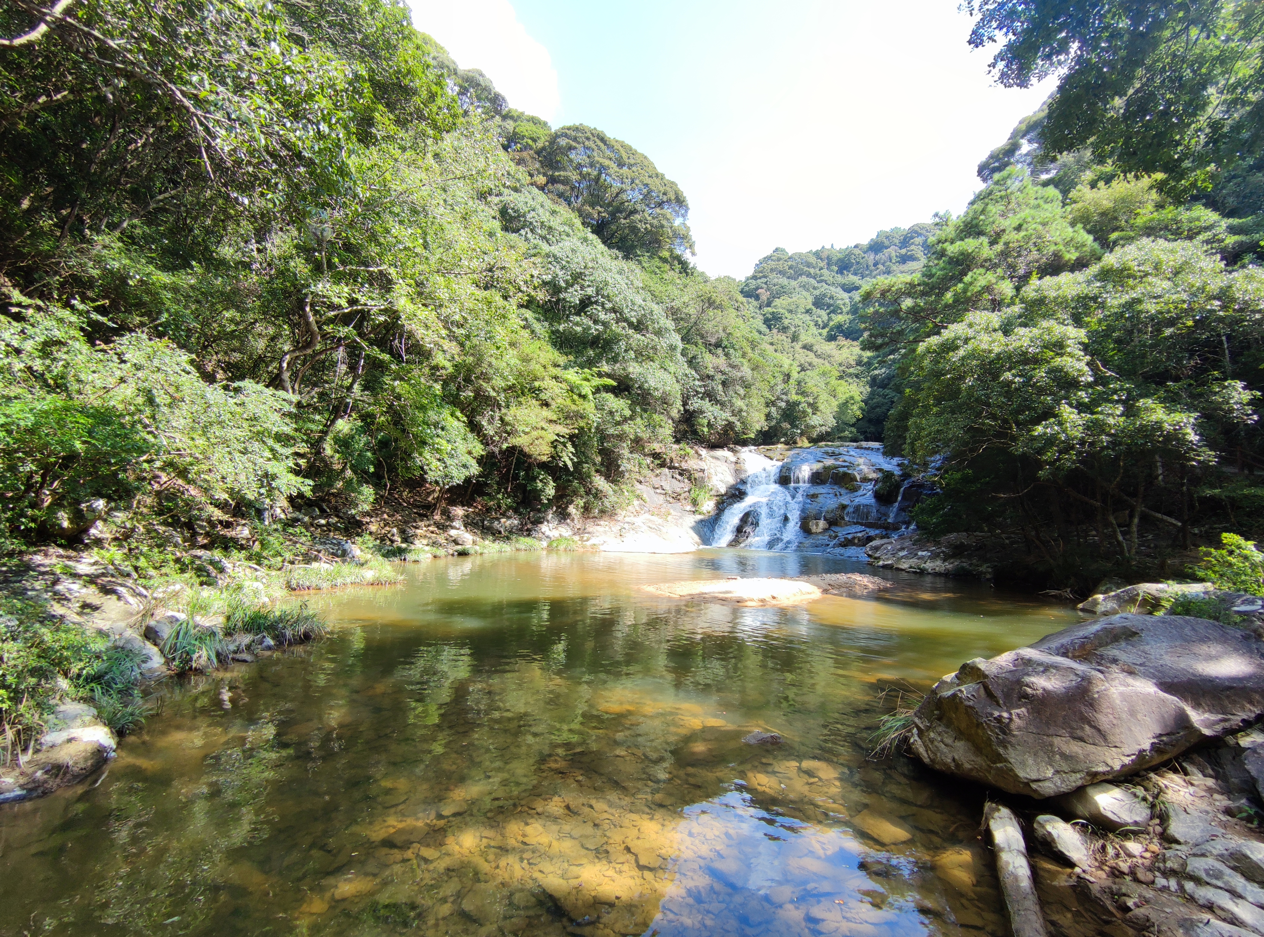 青山网红村,寿山九峰村有农家乐吗
