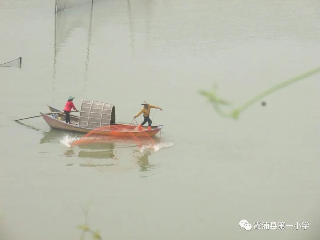 霞浦一中高一新生夏令营,霞浦县夏令营