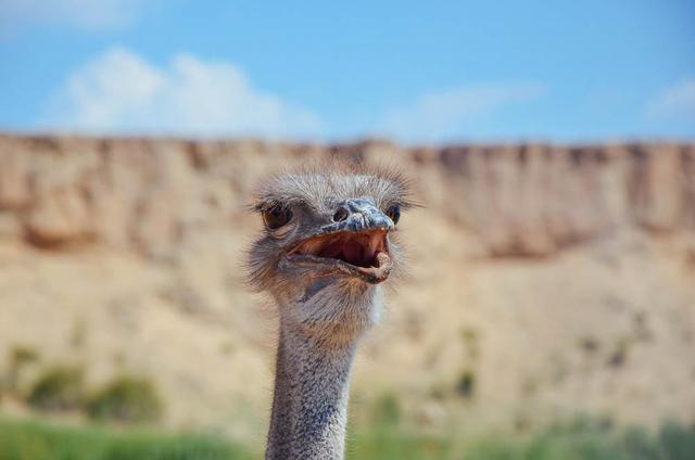 银川必去的五大景点水洞沟,最近银川水洞沟旅游视频