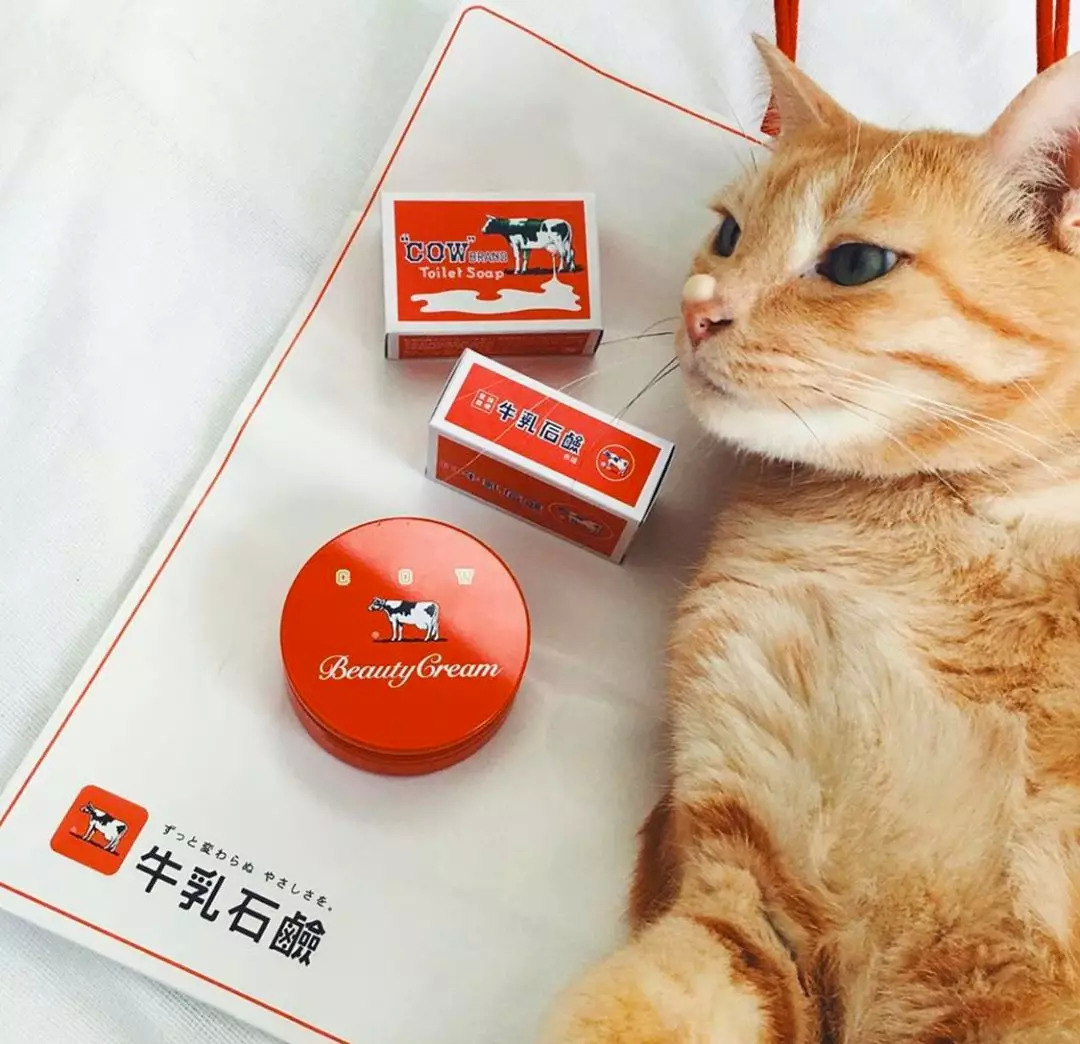 cosme必买十大单品,cosme值得购买的单品