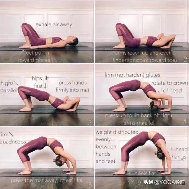哈他瑜伽的25个体式图,哈他瑜伽26个体式