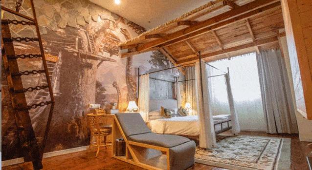 五一假期去常州中华恐龙园攻略,带孩子在常州恐龙园玩