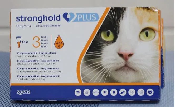 revolution大宠爱,大宠爱revolution