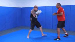 格斗明星的标准动作,格斗如何练抗打能力视频