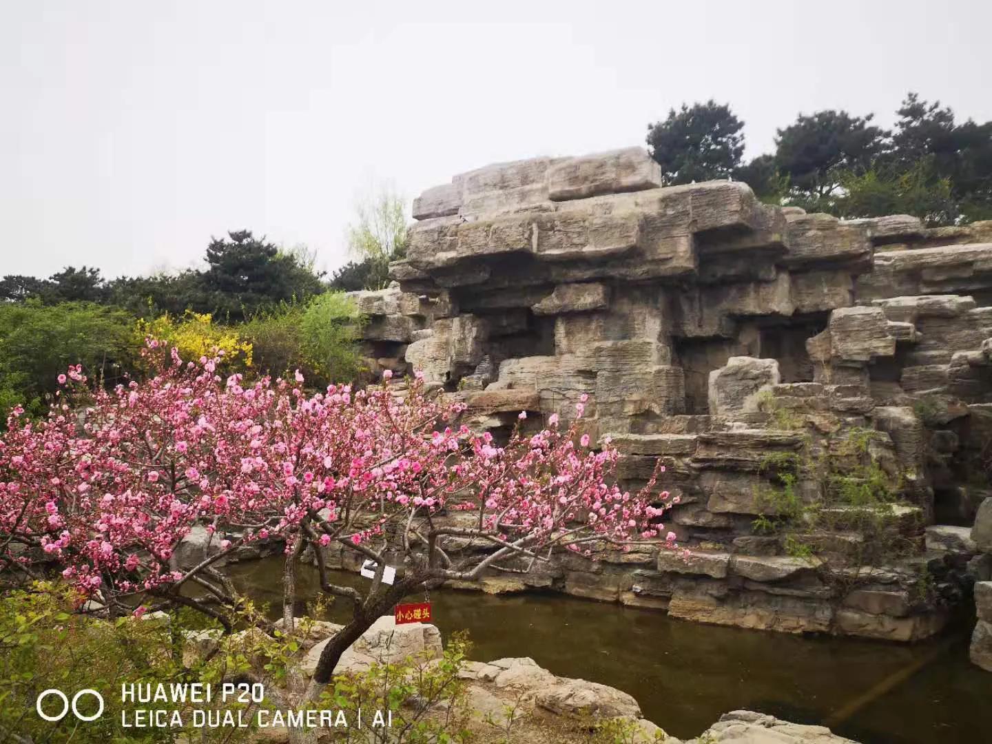 北京西山国家森林公园,北京西山国家森林公园预约