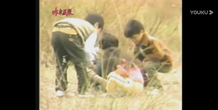 昨夜星辰原唱陈淑桦,昨夜星辰翻唱版陈玉莲