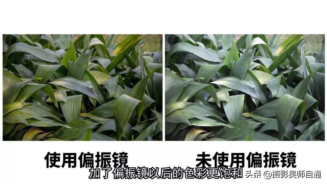 偏振镜的测光使用技巧,吴玮手法教学视频