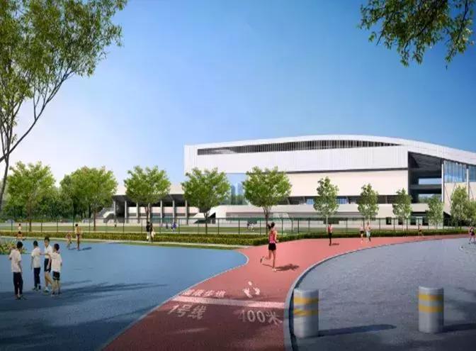 体育馆内的超绝颜值,成都双流体育场