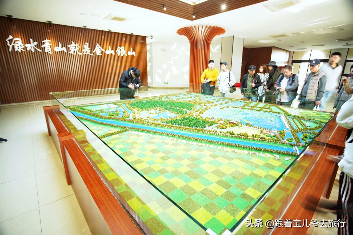 南京燕雀湖水杉林,南京秋天水杉林