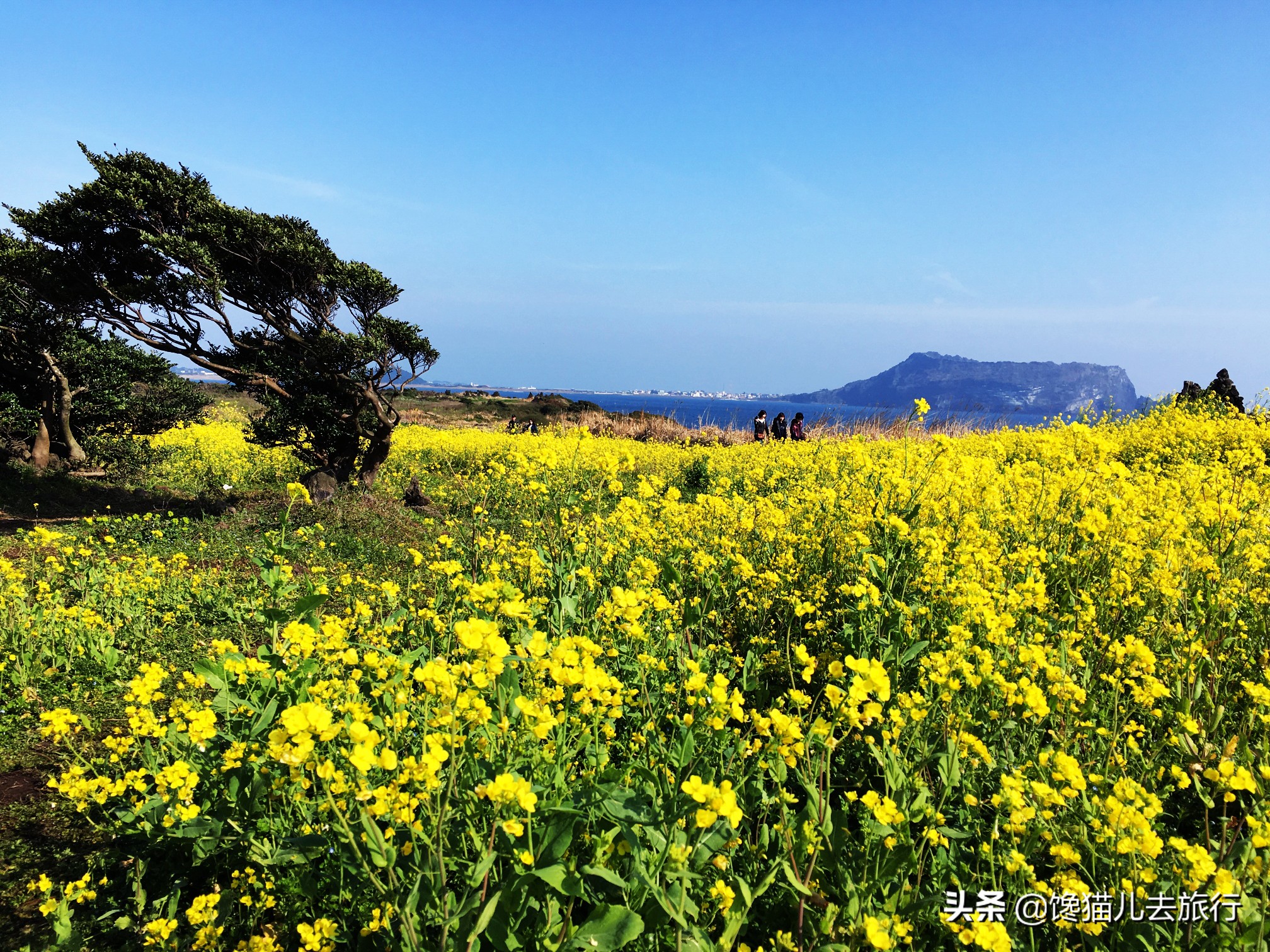 韩国济州岛汗蒸馆,韩国汗蒸馆中文解密