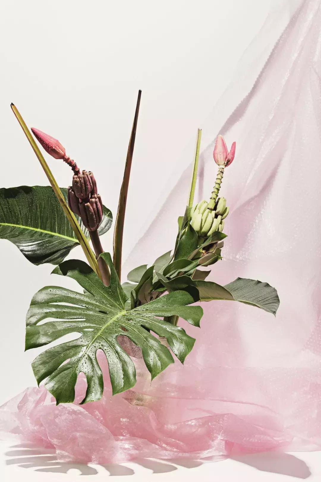 世界上超美的小花店,世界上的小花店