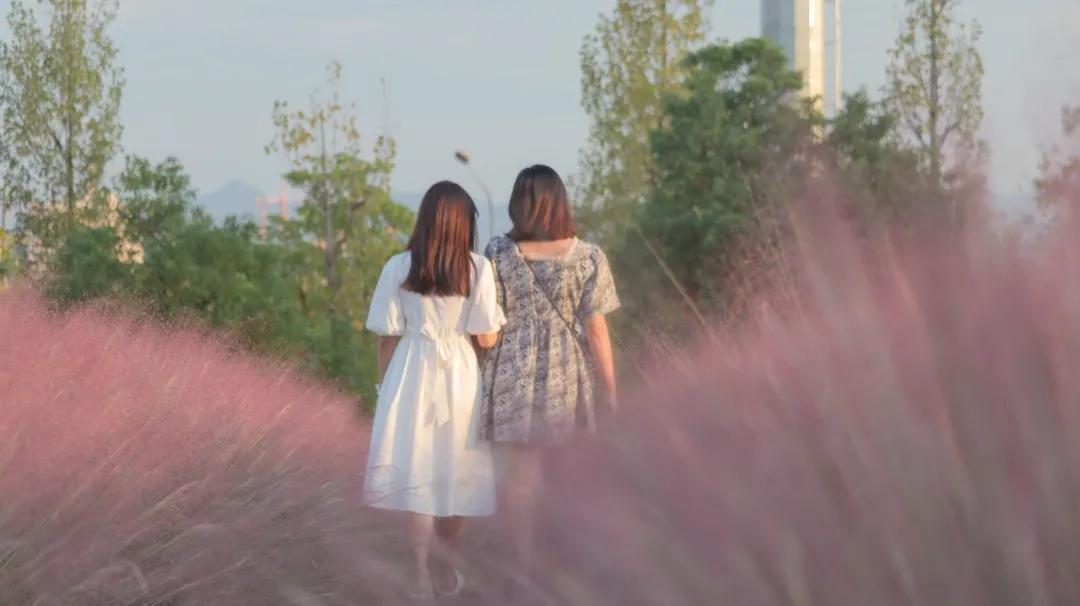 金的功用,金的功能主治