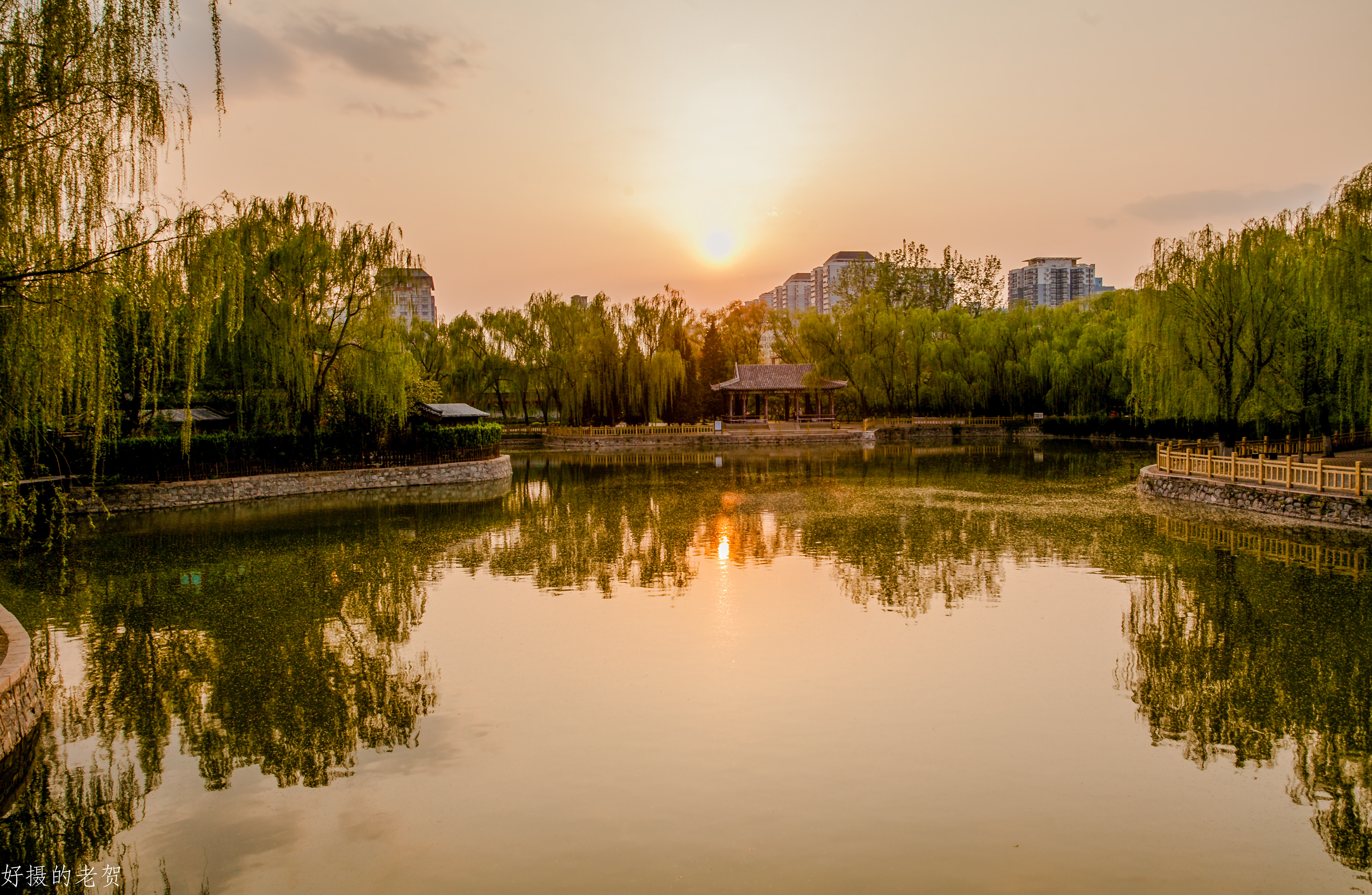 小小街头公园也有春天？疫情期间，它成为唯一舒缓心情的伊甸园