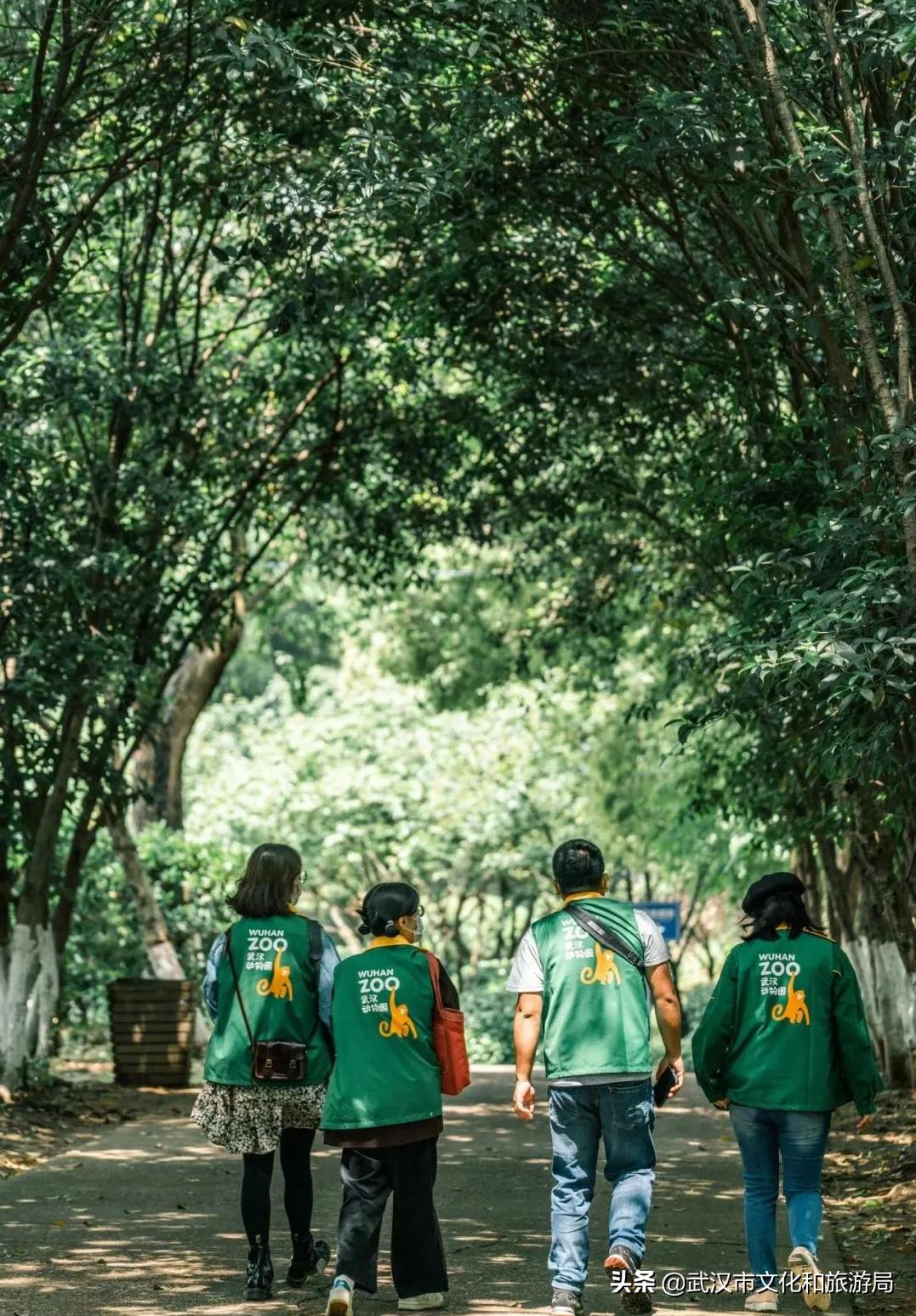 武汉动物园改造升级工程,武汉动物园升级最新消息