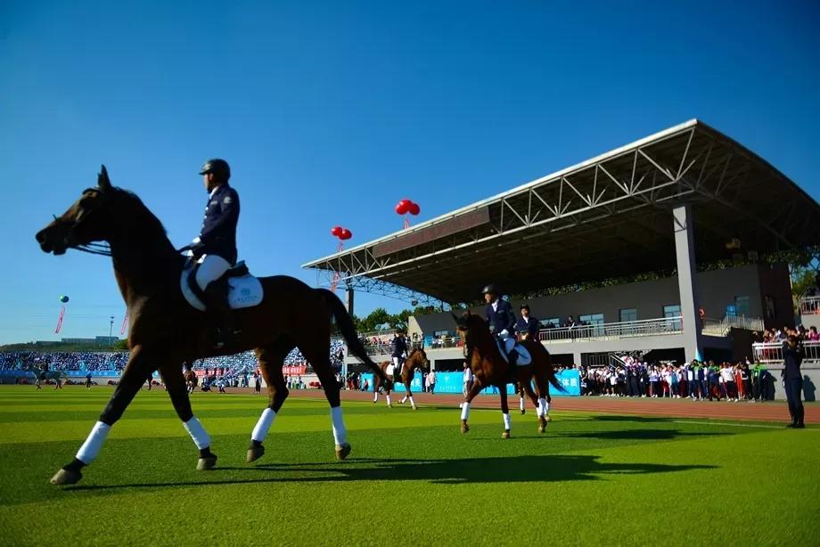 民办学校大连艺术学院全国排名,大连艺术学院辽宁排名