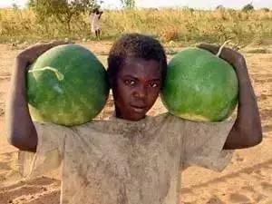 穿越到先秦吃顿饭差点饿,爆笑穿越到先秦吃顿饭差点饿死