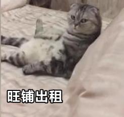 粤语在全国有多受欢迎,说粤语的有哪些国家