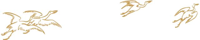 刘勃作者简介,刘勃书籍阅读