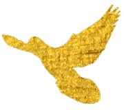 民盈国贸城相馆,民盈国贸城盛大开业