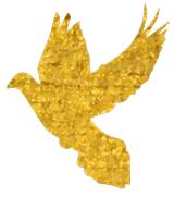 人民日报评大学生创业,人民日报采访董志辉