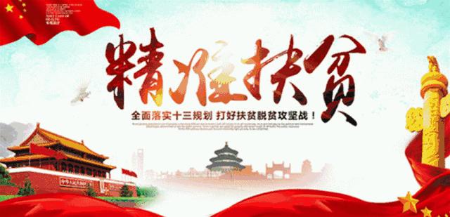 新乡市新中实验学校学费是多少,新乡附中金龙学校收费明细