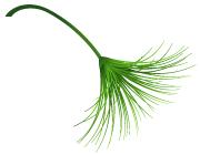 辰山植物园最近有什么活动,动植物园夏令营