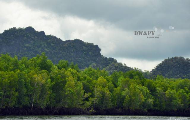 开心麻花新电影取景地爆火,开心麻花电影取景海岛