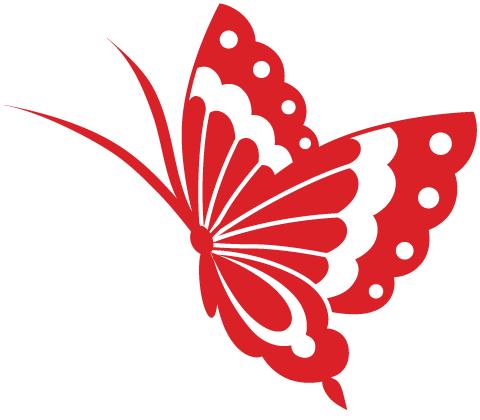 古生物最新发现,古生物化石信息