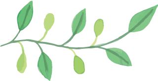 通往梦幻之地的钥匙｜我是编辑我推荐