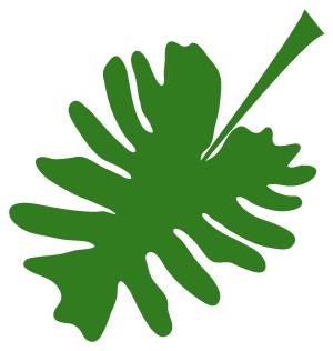 陈飞教说闽南话167期,陈飞教你讲闽南话