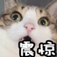 一个手机号拍卖50万,一个手机号卖了280万