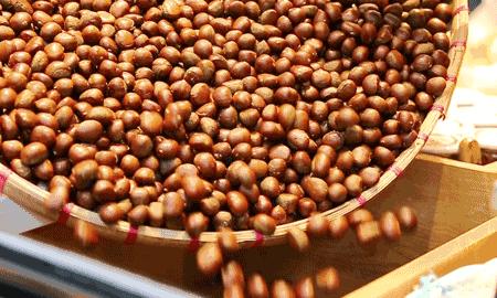 栗子吃多了烧胃怎么处理,吃栗子呕吐怎么回事啊